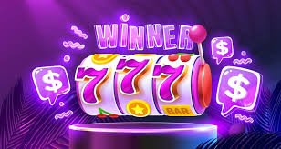 8557bet